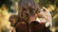 Aký je rozdiel v blchach?